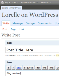 WordPress 2.5 Write Post Panel