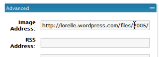 WordPress Blogroll Edit Link Image panel