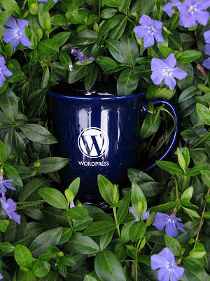 WordPress Mug