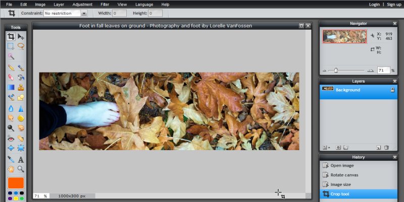 Images - Header Art with Photography - Cropping Image with Crop Tool in Pixlr - Lorelle WordPress School