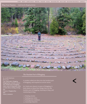 Screenshot of blog post with photo of man standing in middle of labyrinth - Lorelle VanFossen.